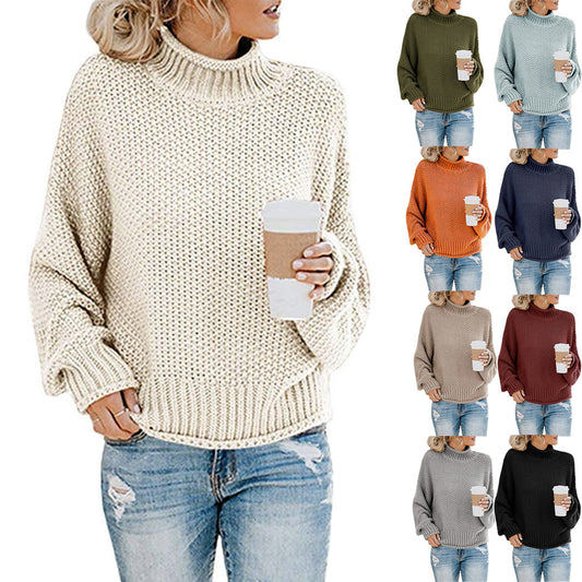 Solid Turtleneck Pullover Sweater