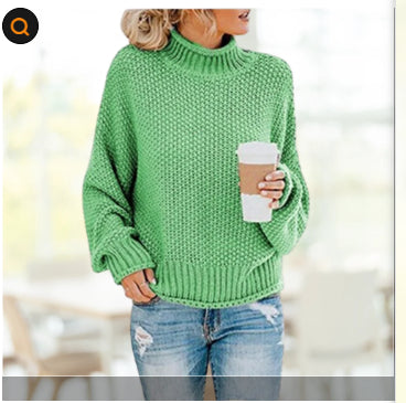 Solid Turtleneck Pullover Sweater