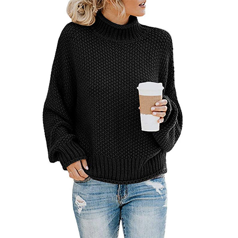 Solid Turtleneck Pullover Sweater
