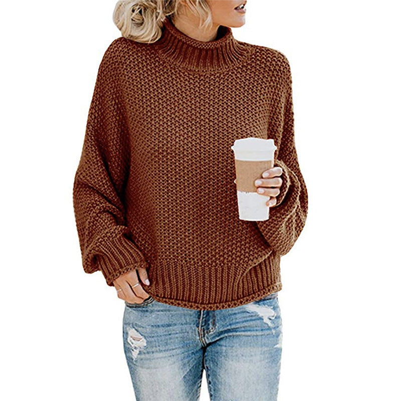 Solid Turtleneck Pullover Sweater